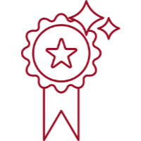 rosette-sparkle-icon